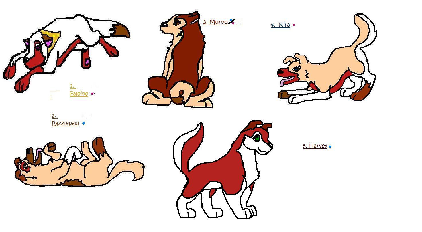 juniper's siblings.JPG