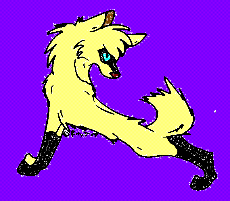 untitled.GIF