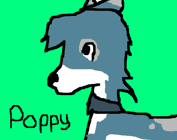 rcdil  Poppy ^^.PNG