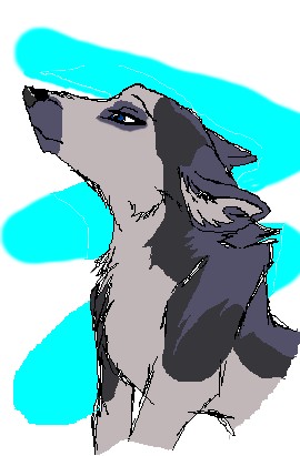 Shivas.jpg