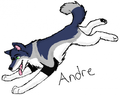 andre.png