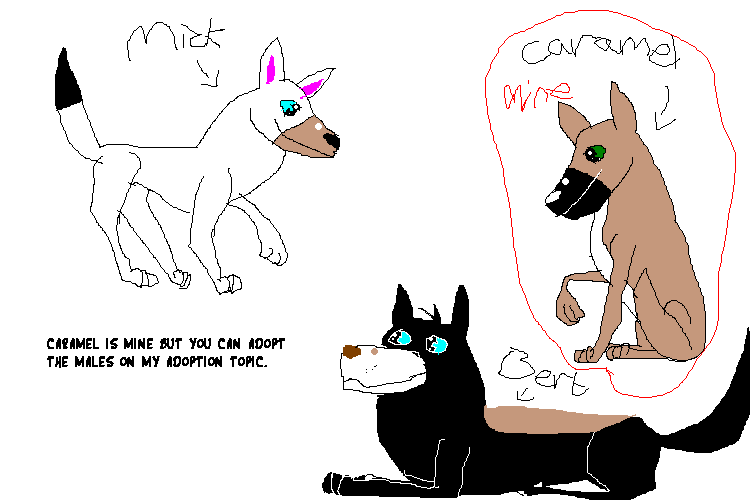 puppies.PNG