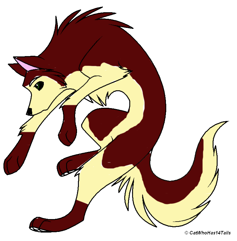 quinn.png