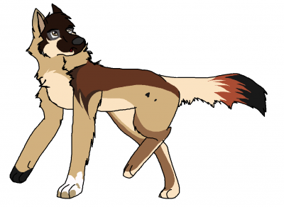 kipp.png