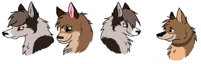 shazza1.png