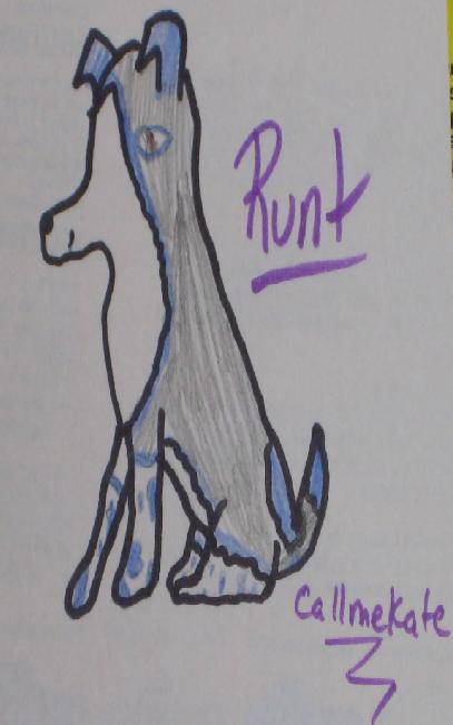runt.JPG