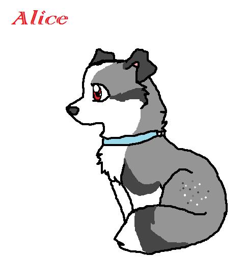 Alice.jpg