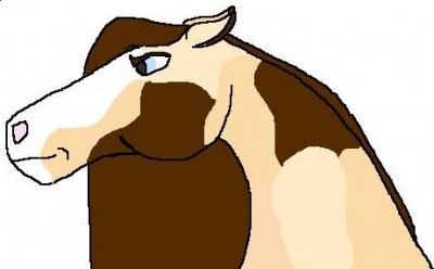 Indian's Head.JPG