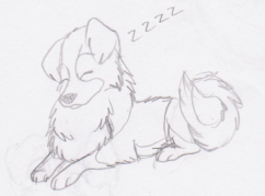 !Ravennapping.PNG