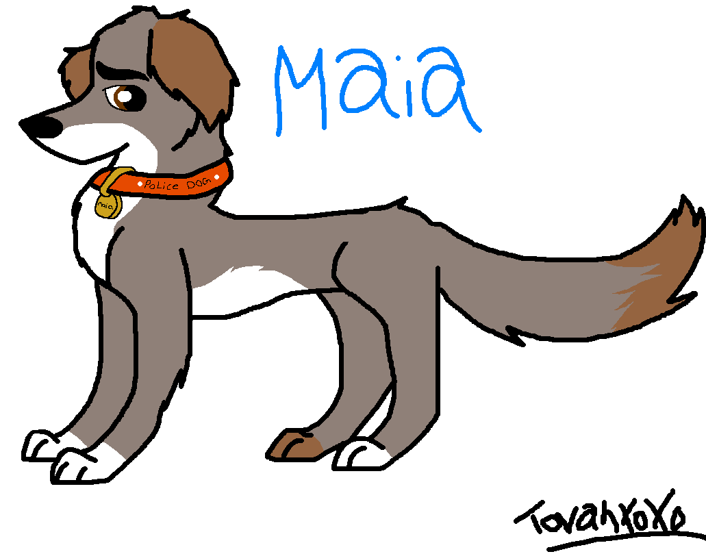 maia.PNG