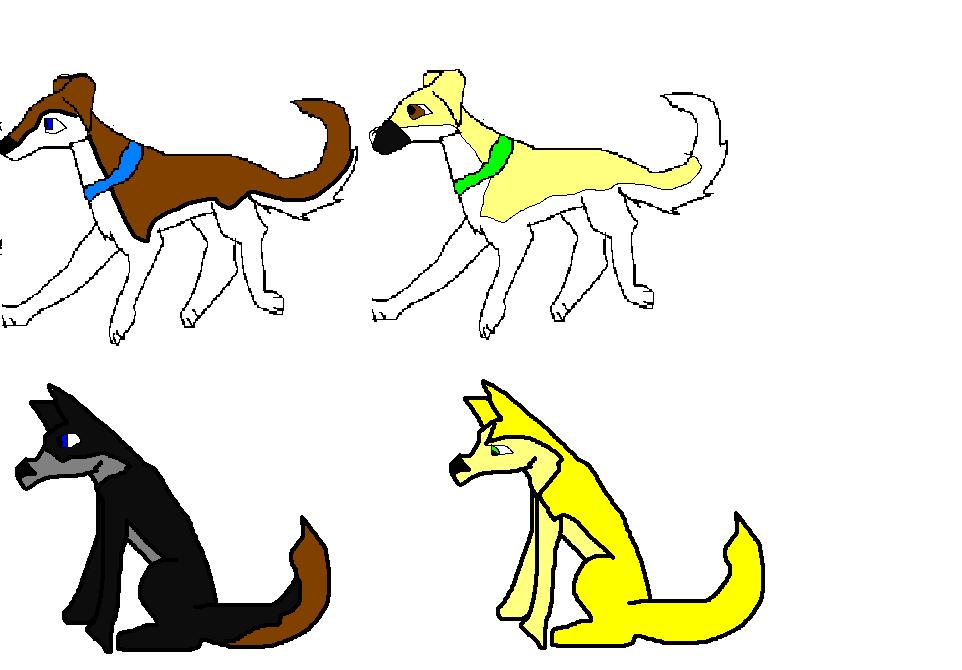 adoption 1.JPG