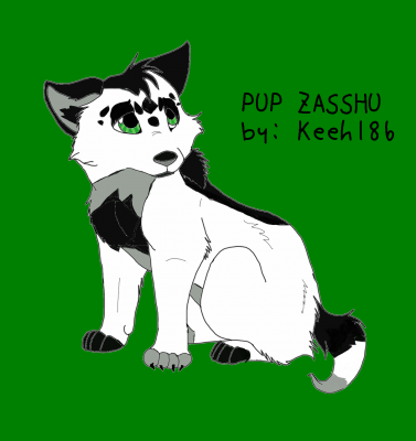 Pup_Zasshu2.png
