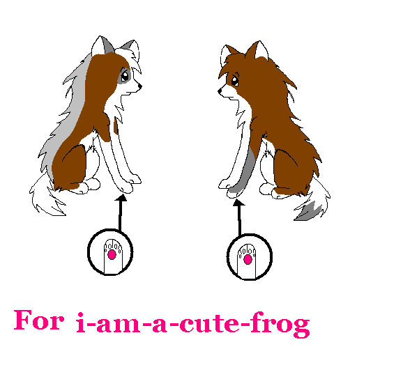 iamacutefrog.PNG