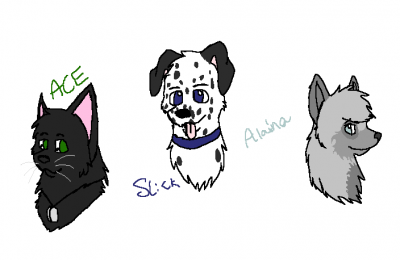requesttt.png