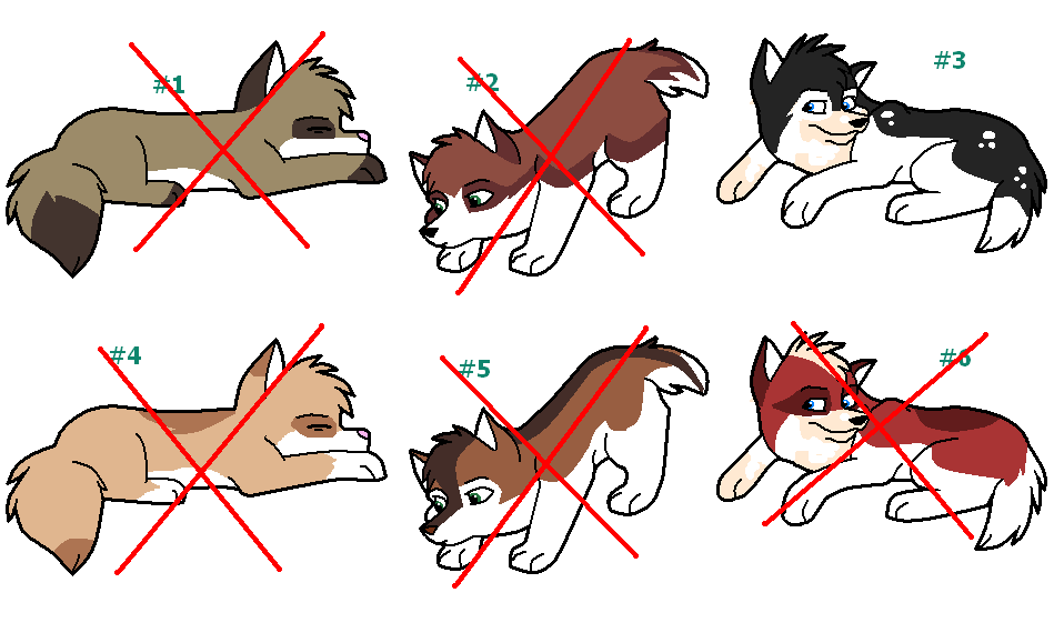 adopt3.PNG