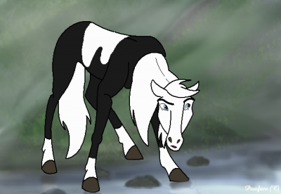 stormyy.png