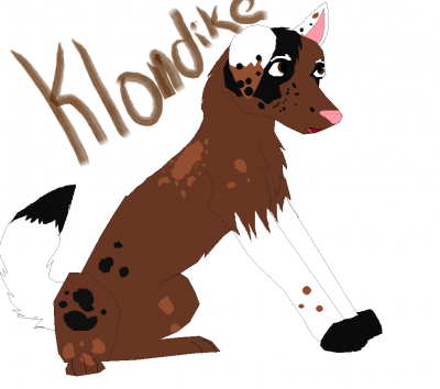 k.png