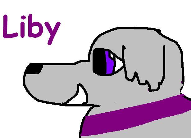 liby 2.JPG