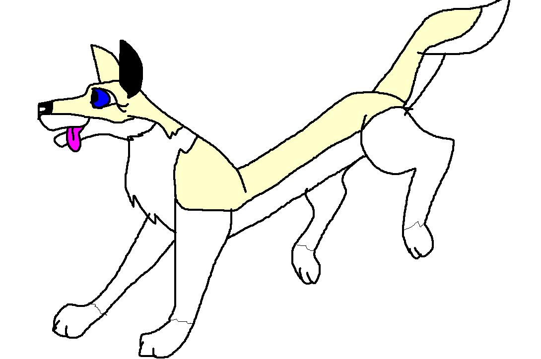 Cloey.JPG