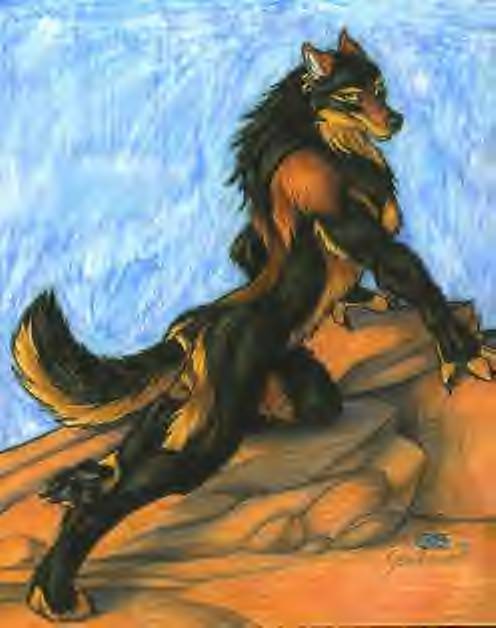 Lune.dislike.wolf.jpg