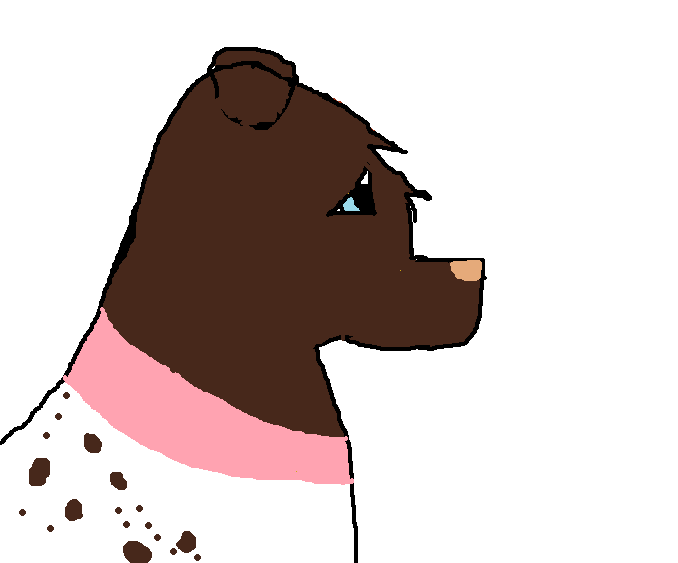 %cc.png