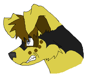Leo's head-shot.PNG