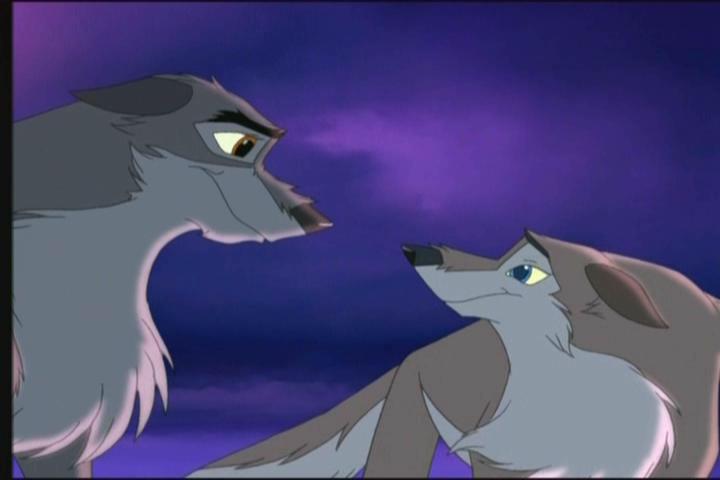 balto330[1].jpg