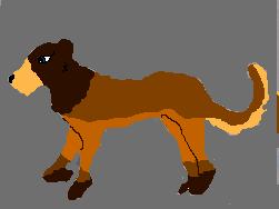 socute.JPG