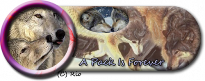 wolflover10.png