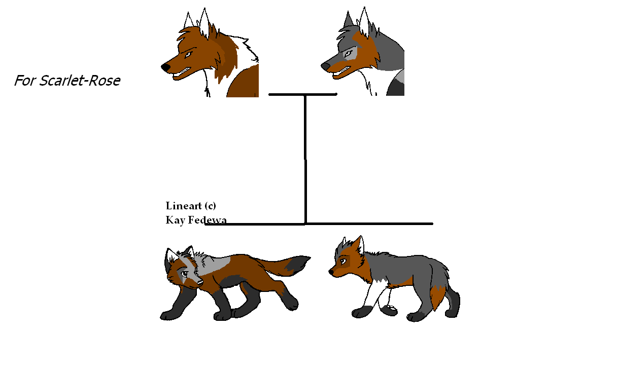 fsr.PNG