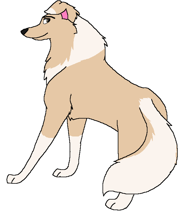 Nicole my collie.PNG