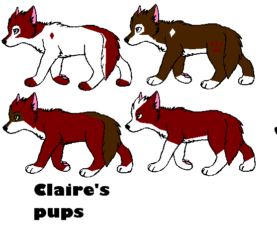 Claire's pups.PNG
