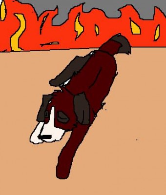 shay1.jpg