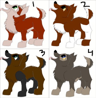 Adoptables 1.jpg