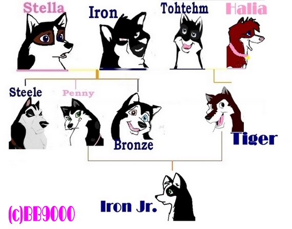 famlytree.jpg