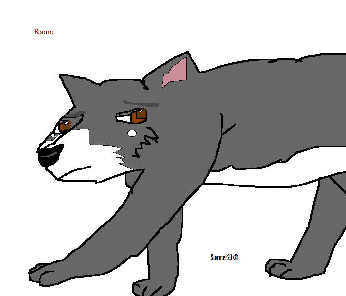 ramu.png
