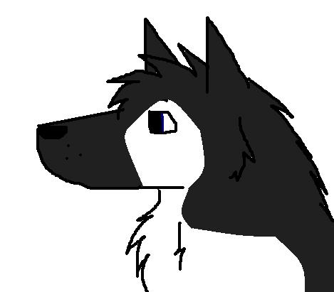 kaile.JPG