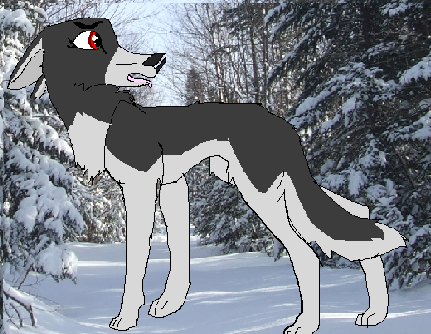dog.PNG