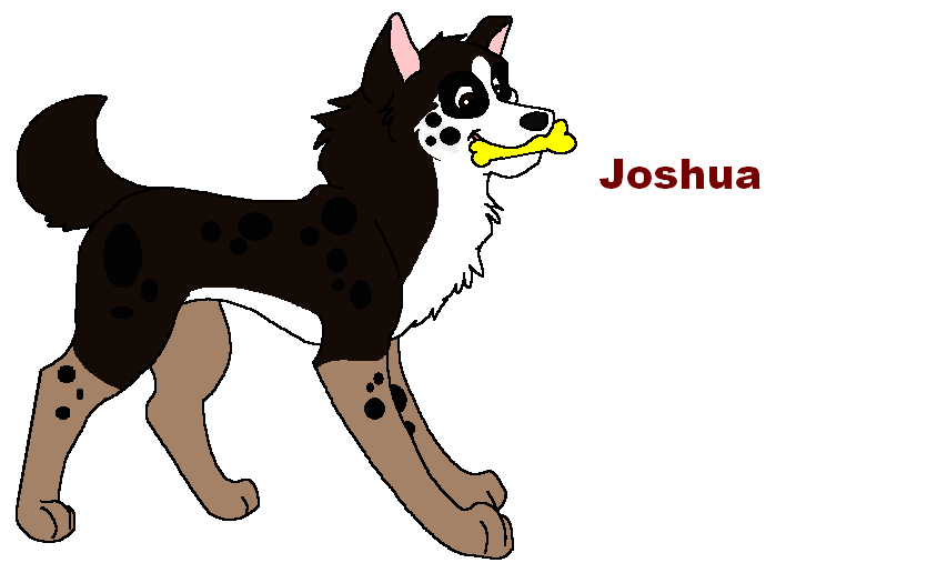 josh.PNG