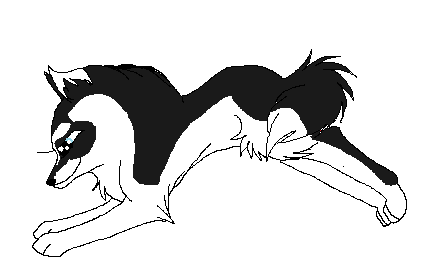 for jodi.png