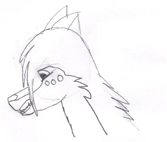 02-03-2009 04;30;44PM.jpg