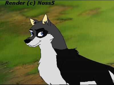 Shadow ice in up 4 adoption.jpg
