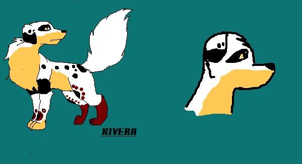 kivera.jpg