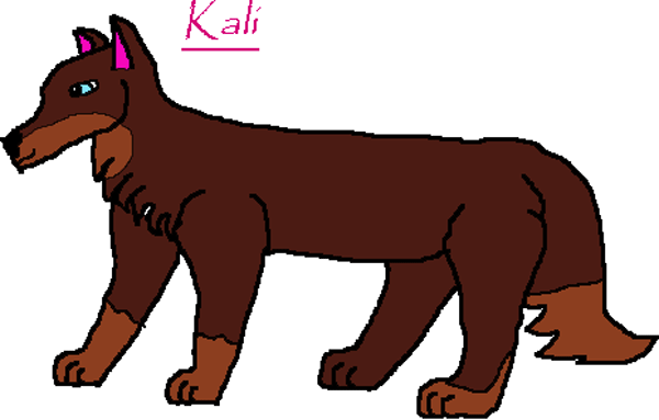 Kali-try-out.gif