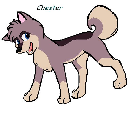 chester.PNG