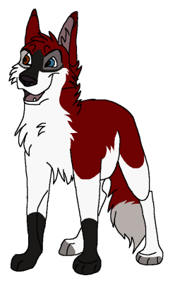 scansione0027a.png