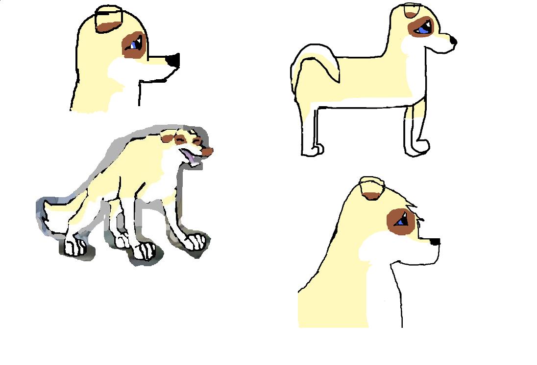 gaby.jpg
