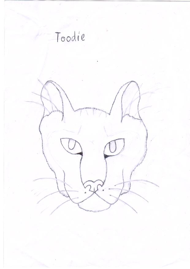 Copy of toodie.JPG