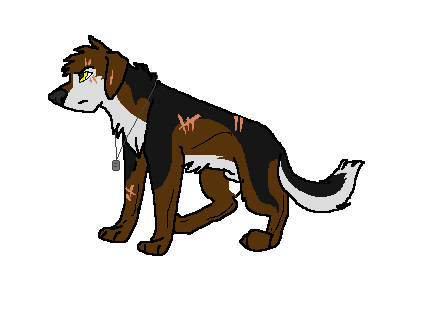 Paxton.png