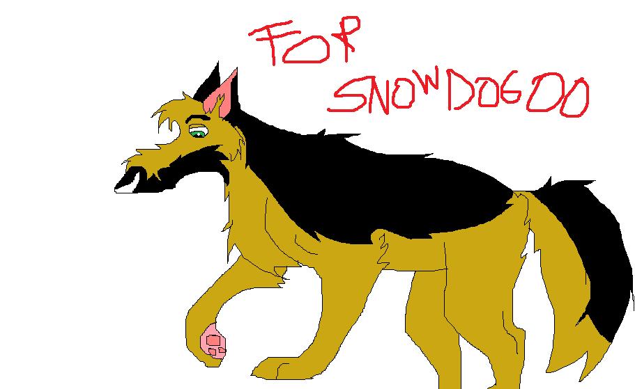 for snow.jpg